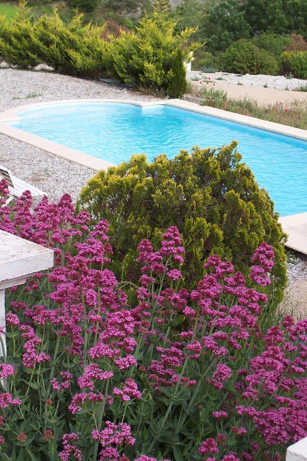L'Ensoleillee Bed & Breakfast Rosans Екстериор снимка